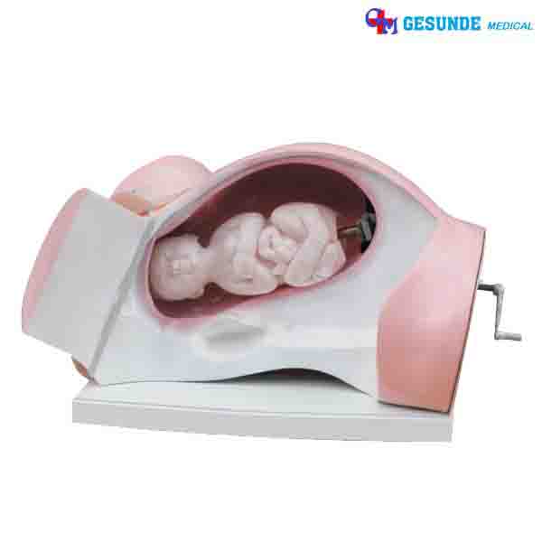 GM-X402 manekin training ibu melahirkan